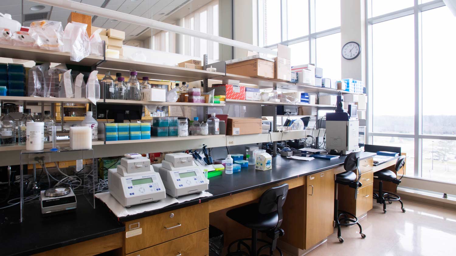 How to set up a biological research lab?